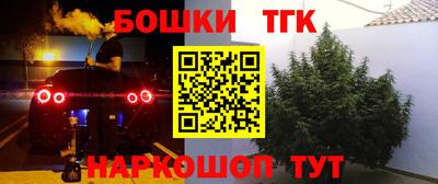 гашиш Кингисепп