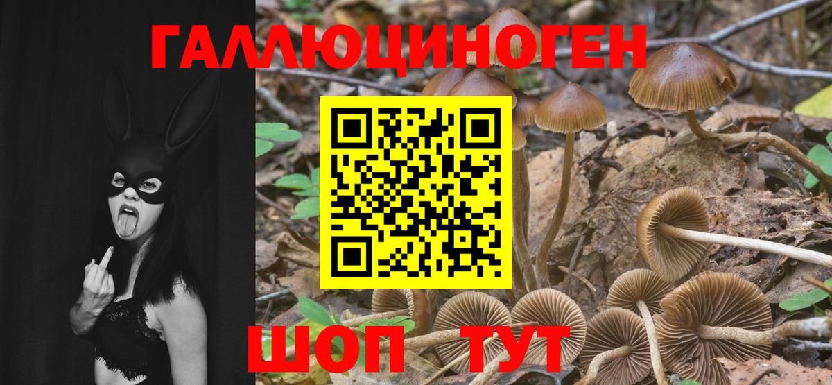 Галлюциногенные грибы GOLDEN TEACHER Гулькевичи